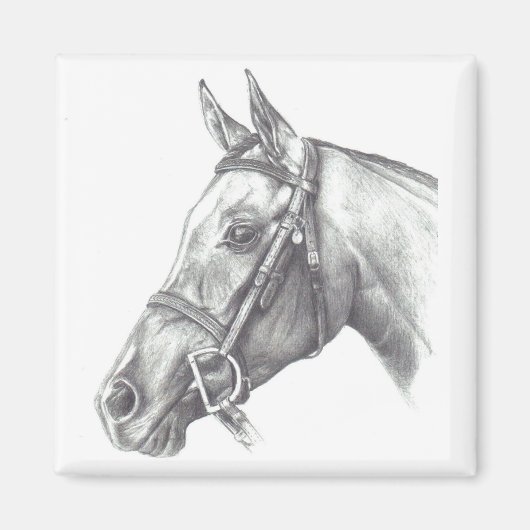 MAGNET MET HORSHOOFD (Voorkant)