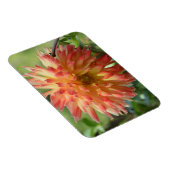 Magnet met oranje dahlia magneet (Rechterzijde)