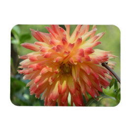 Magnet met oranje dahlia magneet