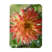 Magnet met oranje dahlia magneet (Verticaal)