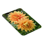Magnet met oranje dahlias met regendruppels magneet (Rechterzijde)