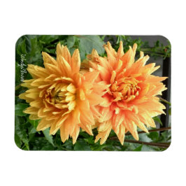 Magnet met oranje dahlias met regendruppels magneet