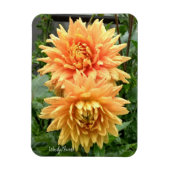 Magnet met oranje dahlias met regendruppels magneet (Verticaal)