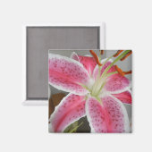 MAGNET MET PINK LILY (Voorkant / Achterkant)