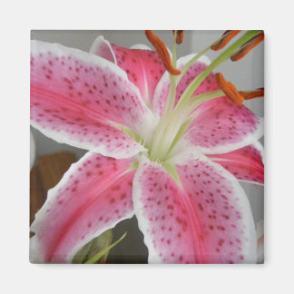 MAGNET MET PINK LILY
