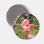 Magnet met ventilator (Voorkant / Achterkant)