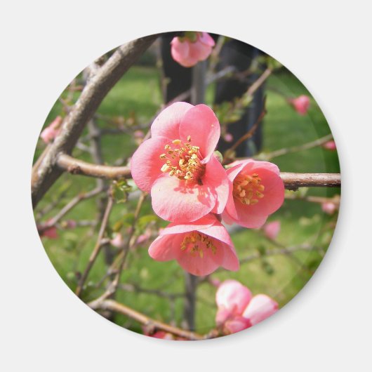 Magnet met ventilator (Voorkant)