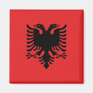 Magnet met vlag van Albanië (Flamuri i Shqipërisë)