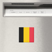Magnet met vlag van België (Insitu (Vaatwasser))