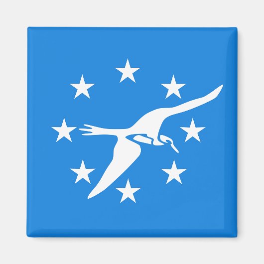 Magnet met vlag van Corpus Christi, Texas, VS (Voorkant)