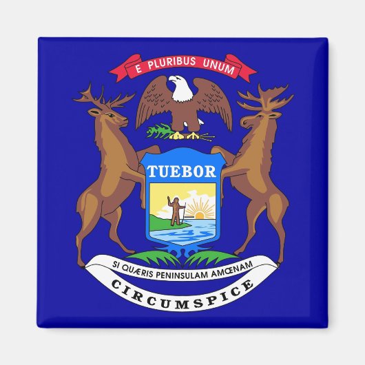 Magnet met vlag van de staat Michigan - VS (Voorkant)