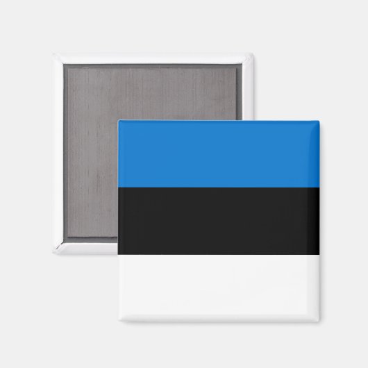 Magnet met vlag van Estland (Voorkant / Achterkant)