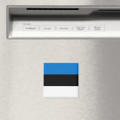 Magnet met vlag van Estland (Insitu (Vaatwasser))