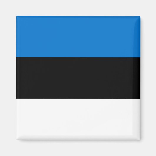 Magnet met vlag van Estland (Voorkant)