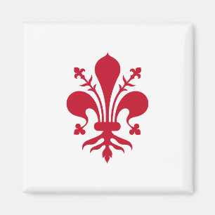 Magnet met Vlag van Florence, Toscane, Italië