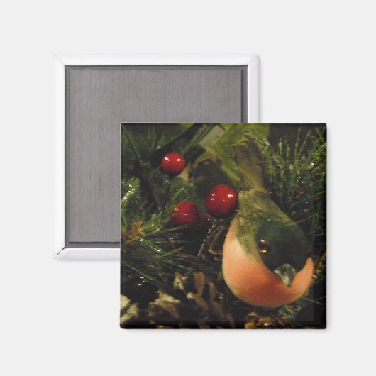 Magnet met vogel (Voorkant / Achterkant)