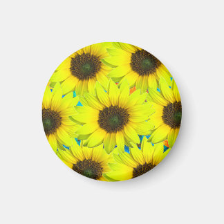 Magnet mit gelben kleinen Sonnenblumenblüten