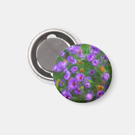  MAGNET mit lila Blumen (Voorkant / Achterkant)