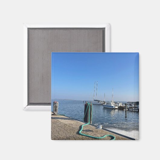 Magnet mit Möwe am Hafenufer (Voorkant / Achterkant)