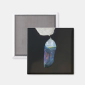 Magnet - Monarch Chrysalis (2022) (Voorkant / Achterkant)