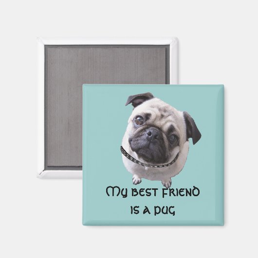 Magnet "Mops" (Voorkant / Achterkant)