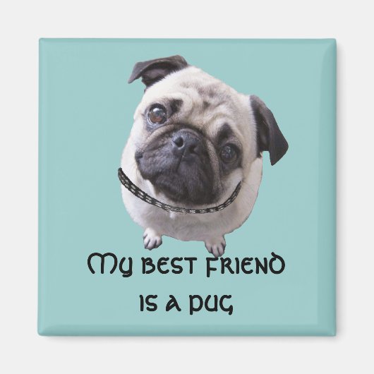 Magnet "Mops" (Voorkant)