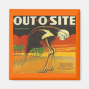 MAGNET ~ OSTRICH ~ OUT-O-SITE Oranje  ETIKET