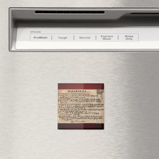 Magnet oude talen (Insitu (Vaatwasser))