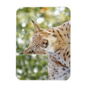 Magnet Photo cat, lynx, animal 0133. Magneet (Verticaal)