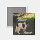 Magnet Poem Any Dogs Dream Ladee Basset (Voorkant / Achterkant)