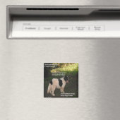 Magnet Poem Any Dogs Dream Ladee Basset (Insitu (Vaatwasser))