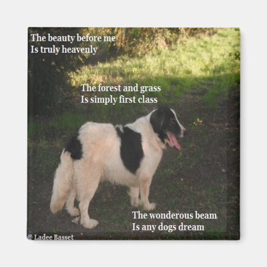 Magnet Poem Any Dogs Dream Ladee Basset (Voorkant)