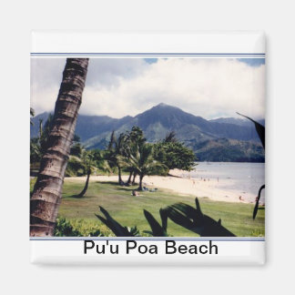 Magnet-Pu'u Poa Beach Magneet