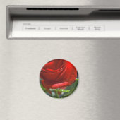 Magnet-Red Rose met waterster Magneet (Insitu (Vaatwasser))