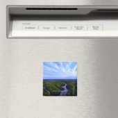 Magnet - Rochester van het meer van Ontario (Insitu (Vaatwasser))