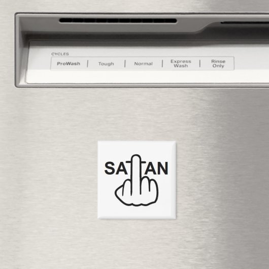 Magnet Satan Flip (Insitu (Vaatwasser))
