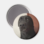 Magnet Scared Dog Meme (Voorkant / Achterkant)