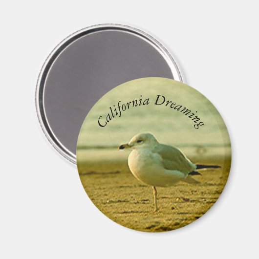 Magnet - Seagull Dreaming (Voorkant / Achterkant)