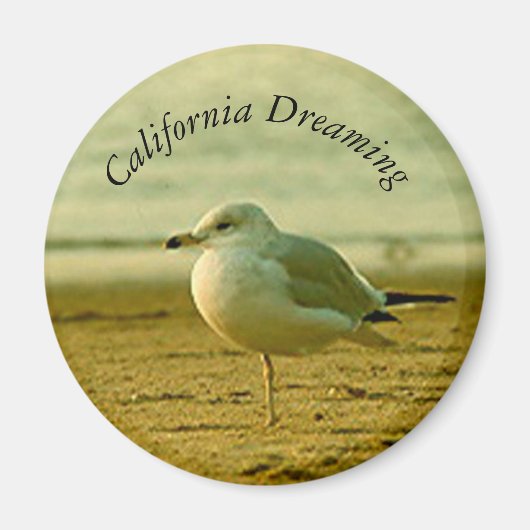 Magnet - Seagull Dreaming (Voorkant)