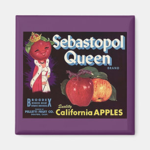 MAGNET ~ SEBASTOPOL KEEN TOEPASST ETIKET