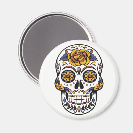 Magnet. Skelet. Magneet (Voorkant / Achterkant)