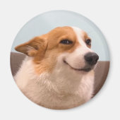 Magnet Smiling Corgi Meme (Voorkant)