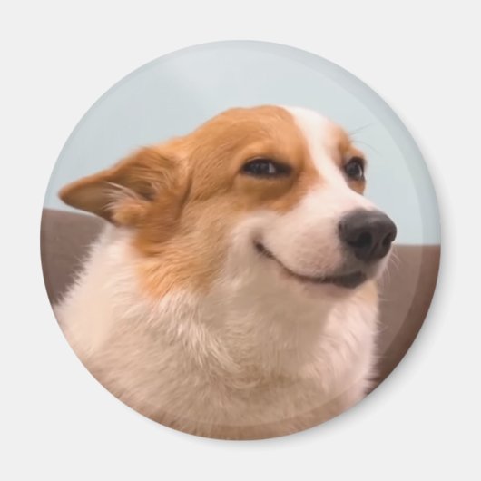 Magnet Smiling Corgi Meme (Voorkant)