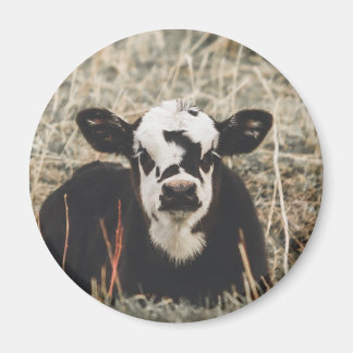 Magnet - Spring Calf
