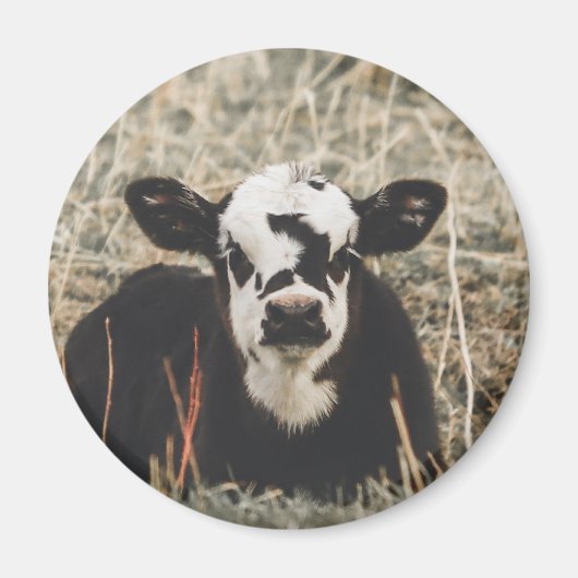 Magnet - Spring Calf (Voorkant)