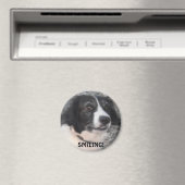 Magnet Sprollie VIsiting Castle Smiling (Insitu (Vaatwasser))