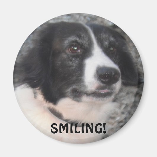 Magnet Sprollie VIsiting Castle Smiling (Voorkant)