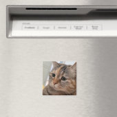 Magnet Talking Cats Meme (Insitu (Vaatwasser))