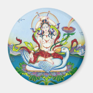 MAGNET Tara die tegen Punten beschermt