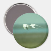 Magnet - Tern in vlucht (Voorkant / Achterkant)